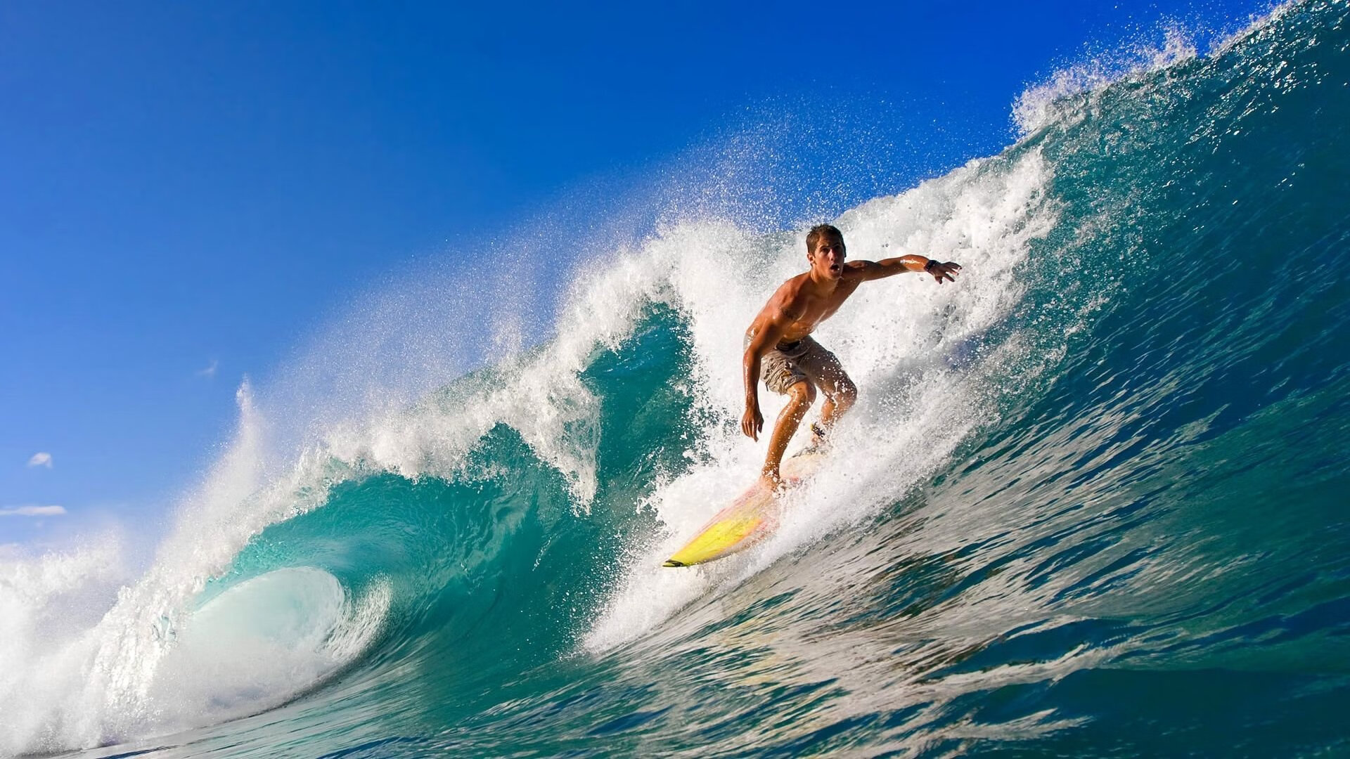 九游网-未来“足球巨星”在欧冠舞台闪耀崭露头角，未来足坛十大新星